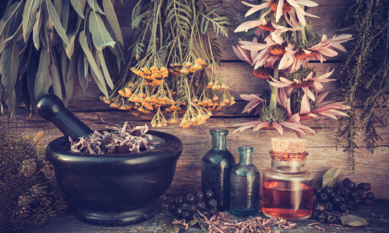 Herbal Medicine: How Do We Know It Works?