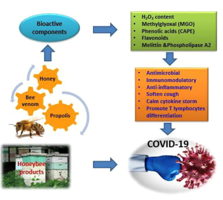 The Anti-Infectious Medicinal Properties of Propolis