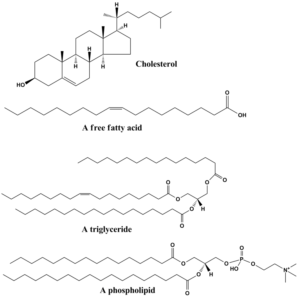 Scientific drawings of structures of some common lipids
