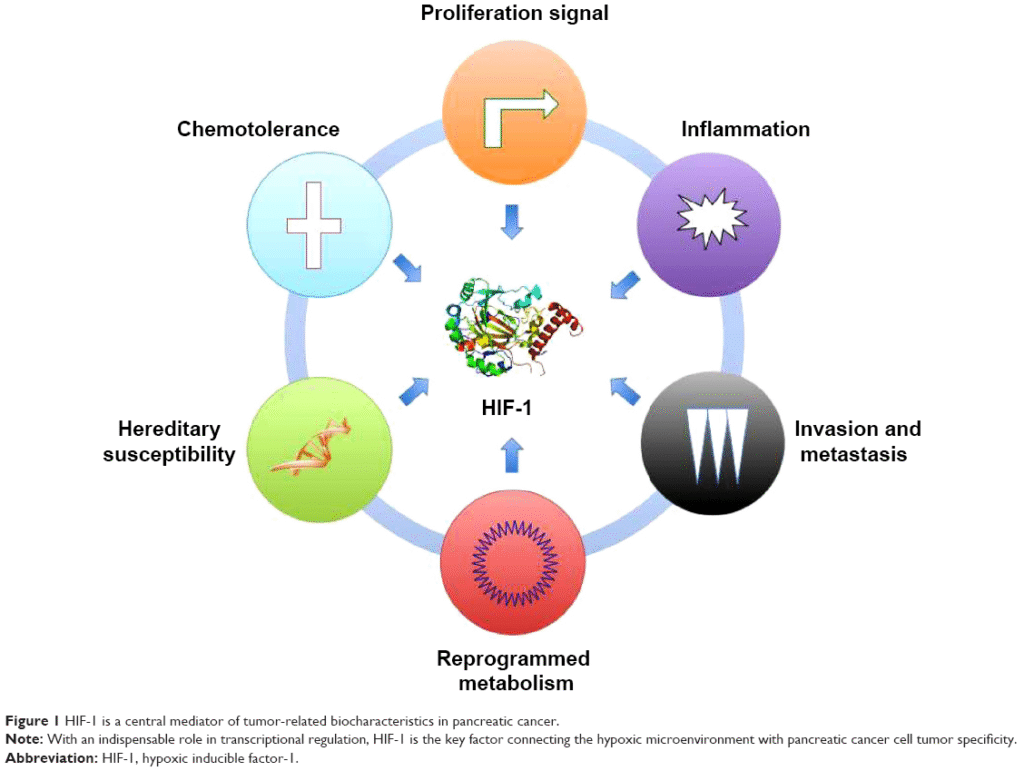 2. Reprogrammed metabolism