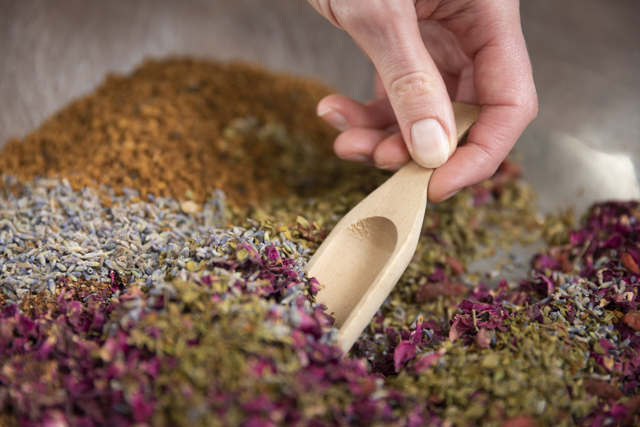 20190121 MEDERI 11344 scaled