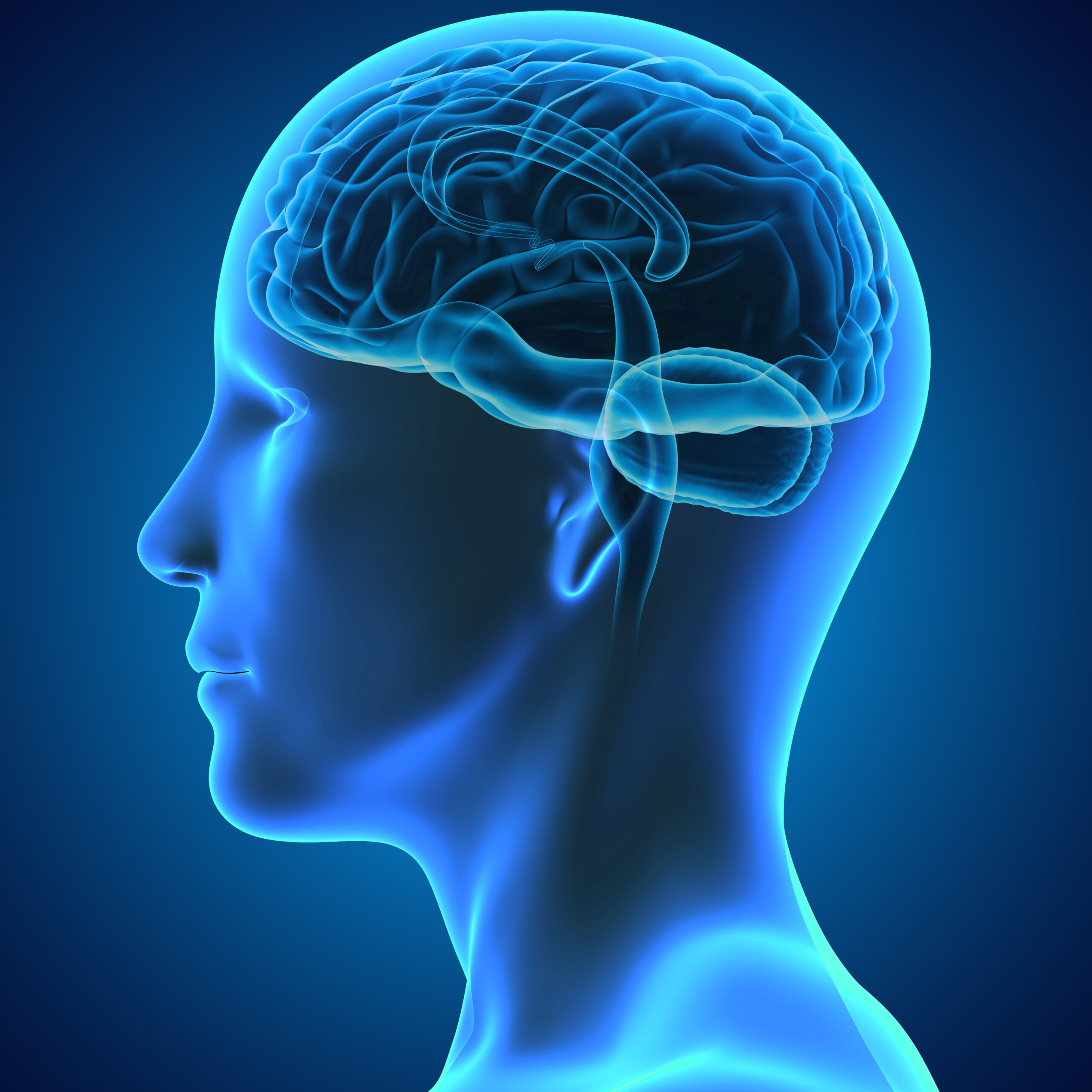 Statin-Associated Myopathy and Mitochondrial Impairment 5 33430666 l scaled