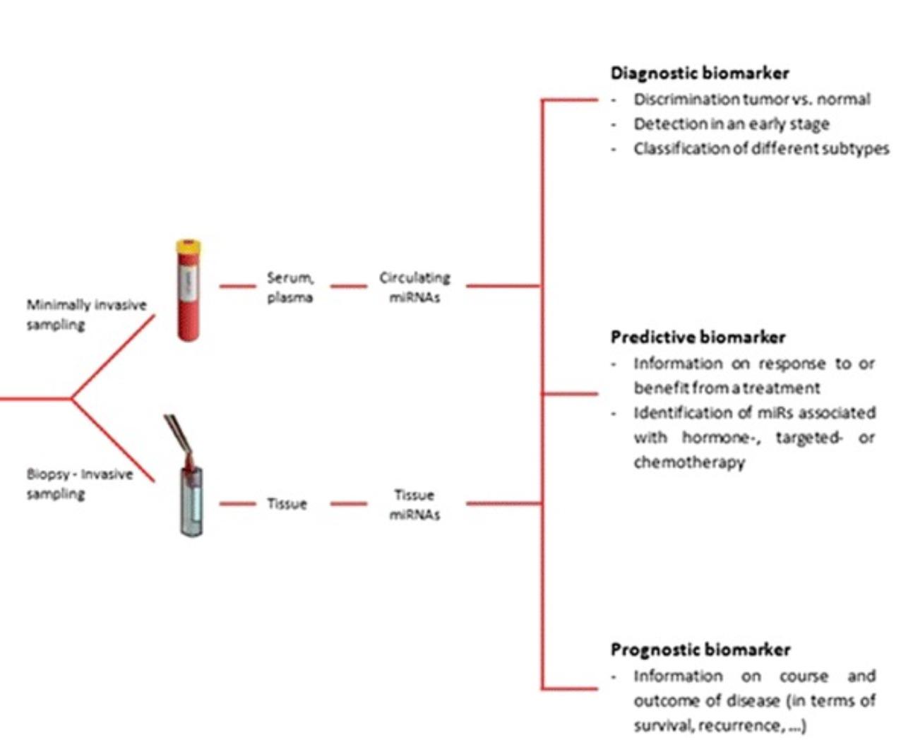 A diagram of a biomarker

AI-generated content may be incorrect.