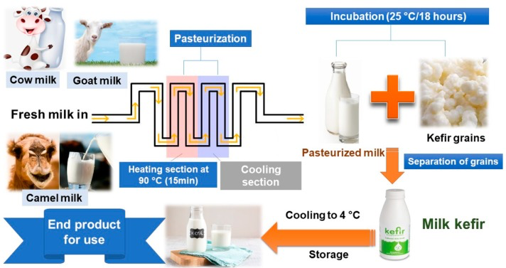 A diagram of milk production

Description automatically generated
