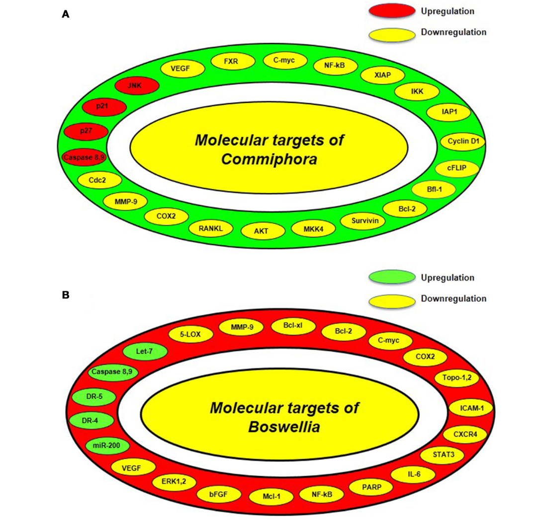 AD 4nXd2Tl4lQNEv7tSwNFXrm rS2qA TWKs18gz08NCYgehch sbzJq098 x78HTfF6ts7zXIPRC vU3HR