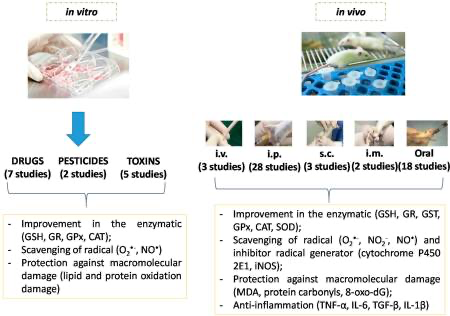 AD 4nXdOuXYfm29W2mEBkGLhXlGIctAD1ckT411kbf2oQzm7F2iKq11mKGT5KmRGIcSKNgbSyMXMWAewtp0SV6wVmg1 DU4pIC4Lhap Hiehg2jnlYVjSUVCcW5fvRMybFOI5MxW1AB N2YlWSW6ao3YhVw