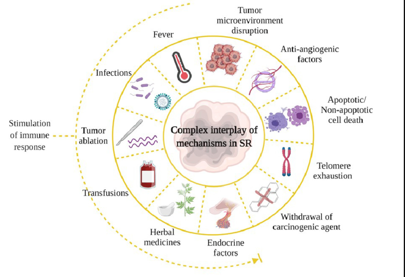 A diagram of various mechanisms

Description automatically generated