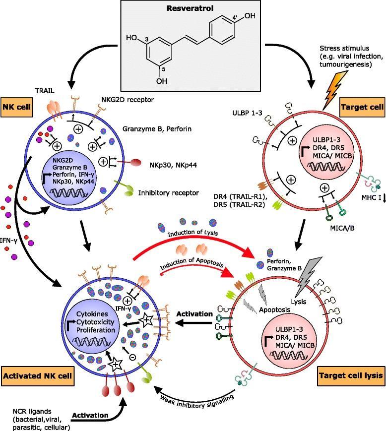 Description: Macintosh HD:private:var:folders:k4:t9mz065h8xl4sz006s6chzl00000gp:T:TemporaryItems:12937_2016_167_Fig3_HTML.jpg