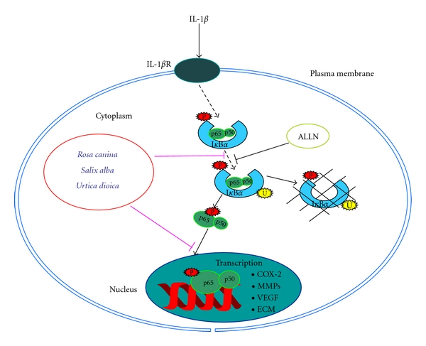 AD 4nXf521p 6H8Zn2RhRR2rVSMy81a4QGUCeJCMpfWVVYZjtHAe2ofIOdsunBAKUQRQeMadD6vhzlparJ6XX ce2rTObevWhUf1l1GszXnuiNpbUfeg4TadvaR7jh4eQ8y 81gc4kl5ANneVtkJyGPplcWXhmLnpW1BVjYsZvntOUvAPnBfhBwnqg