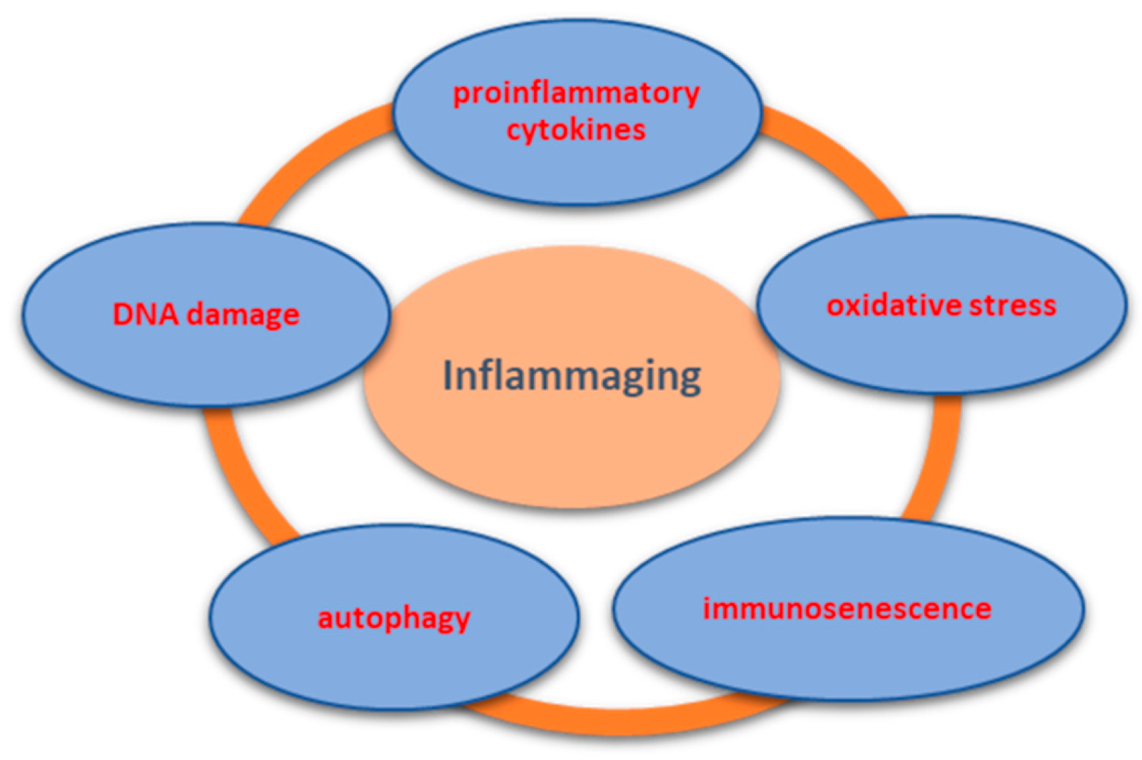 AD 4nXfPxxpywMI1eKgFV7B14mLDji9EjESfPbDXZSQbe7bKnDcG4oSmBCSZKKMXpkc7zhRbSe8AyoI3