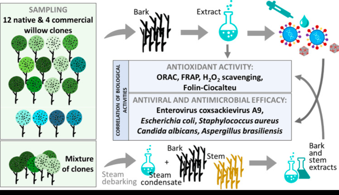 AD 4nXfjh1gYZ95fCzmREZUQKtI5s1pbpVX1tx1IOf