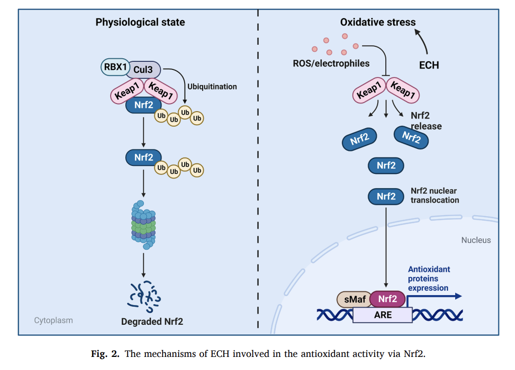A diagram of a stress reaction

Description automatically generated