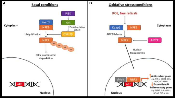 A diagram of a stress reaction

Description automatically generated