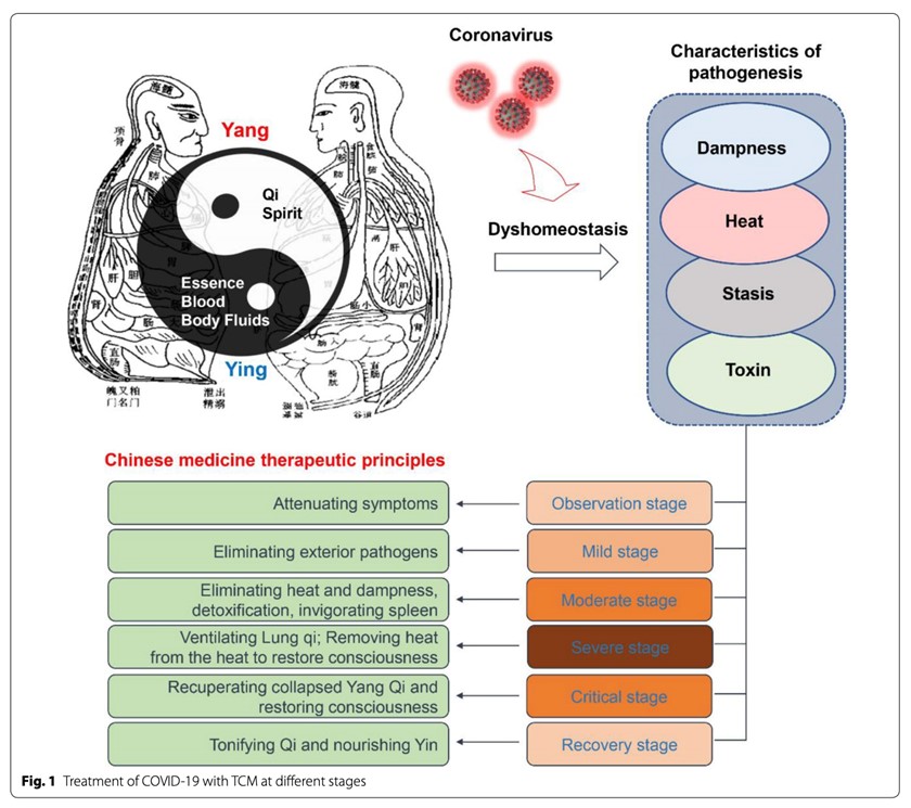 COVID-19 Vaccines, Variants, Immune Health and Traditional Medicine Use Across the Globe 4 Covid4