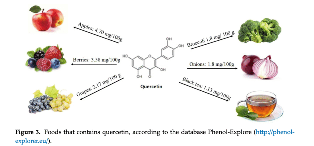 Foods that contain quercetin