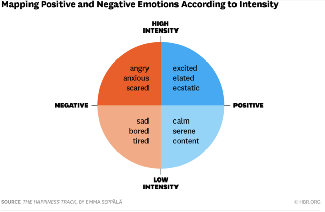 Mapping Postive and Negative Emotions