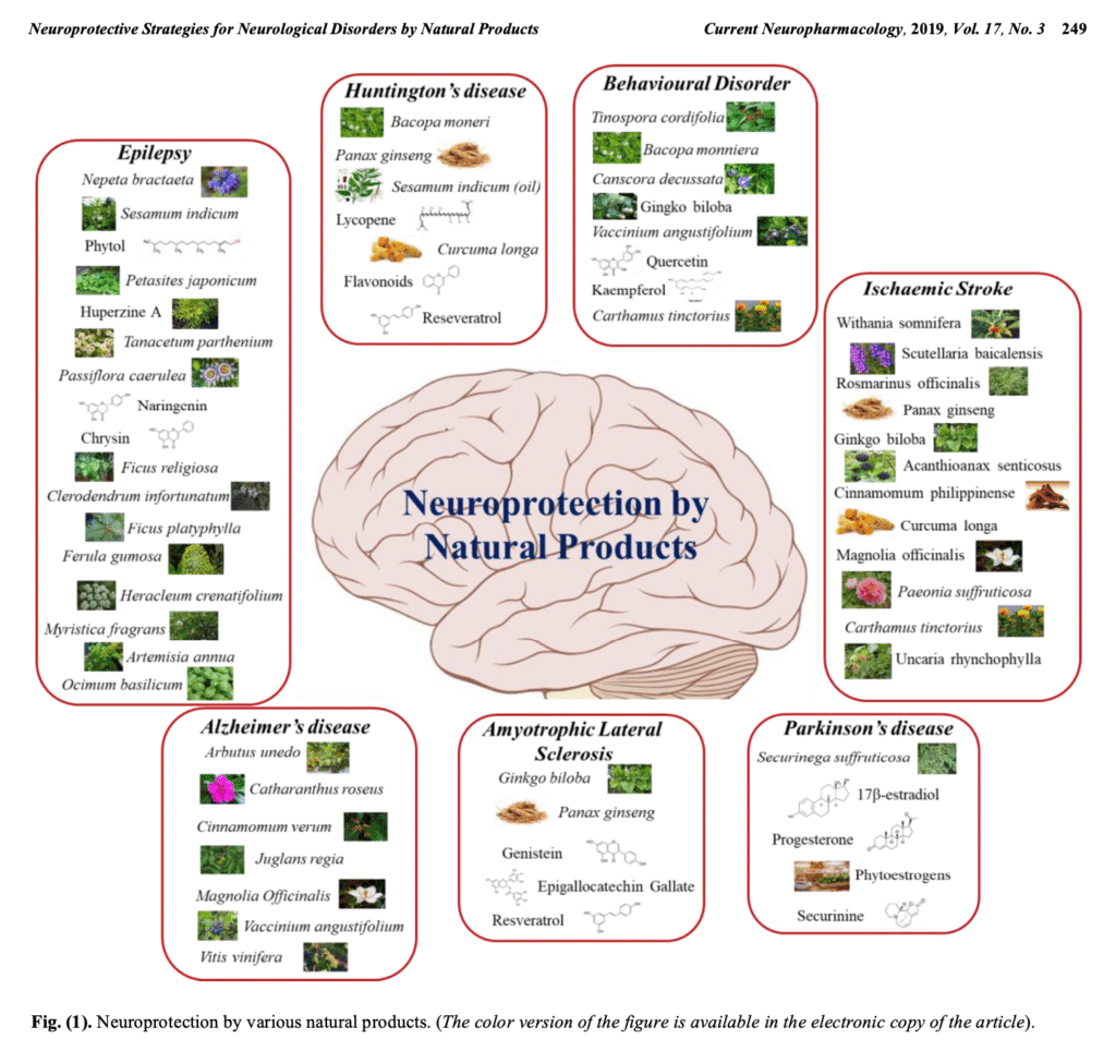 Neuroprotection by Natural Products