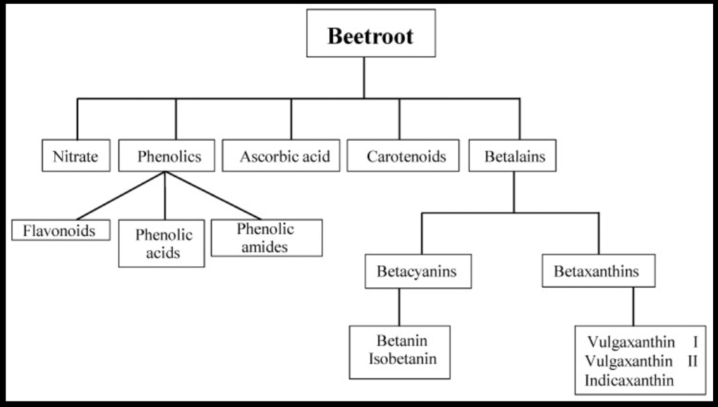 beetroot chart
