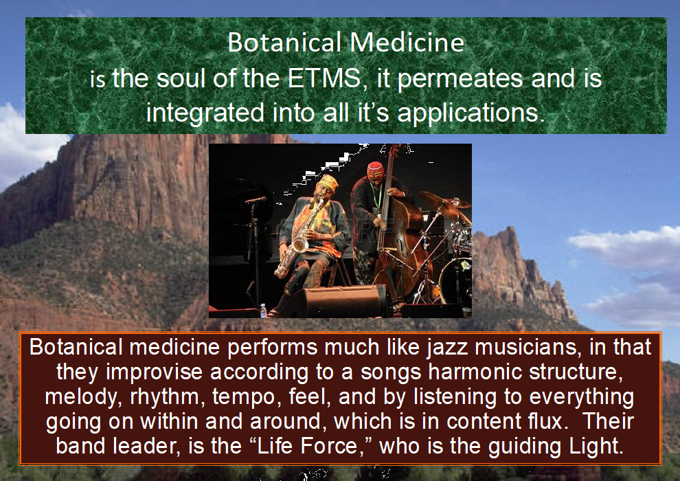 botanical medicine