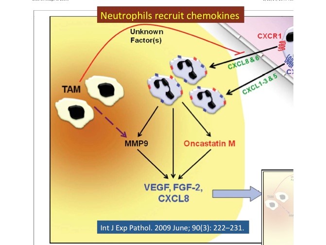 chemokines