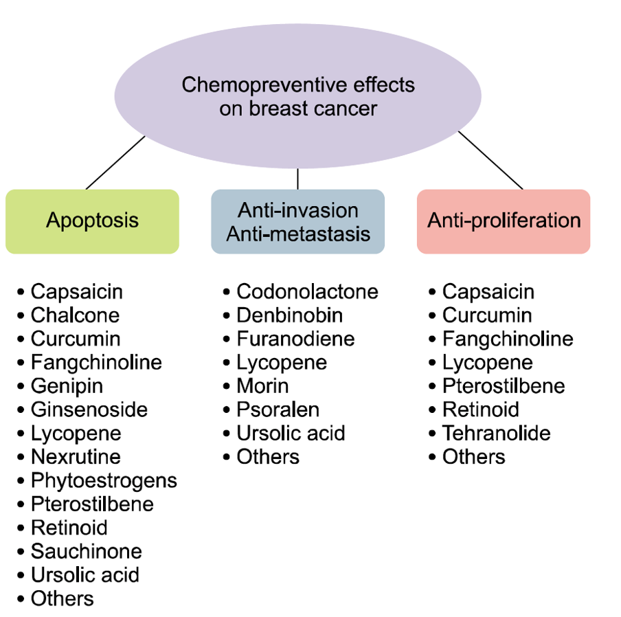 chemopreventive effects on breast cancer