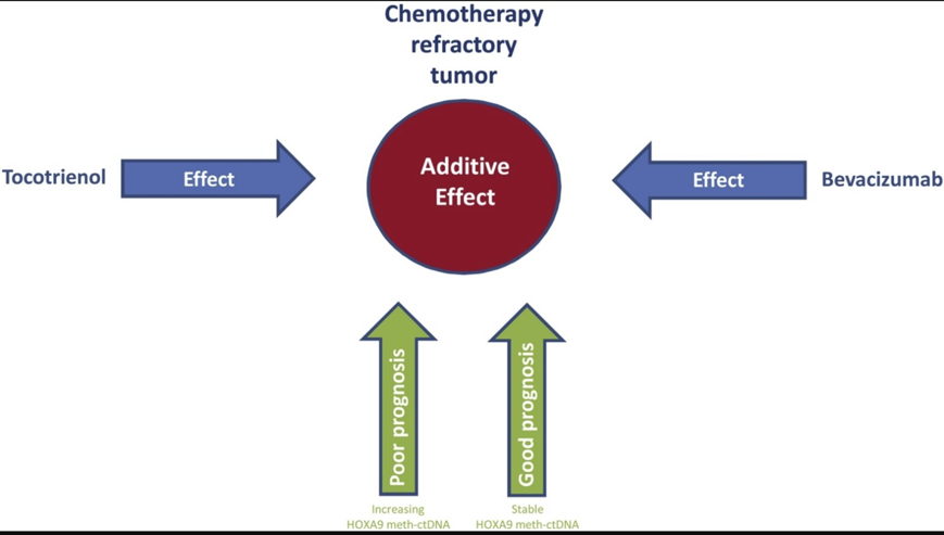 chemotherapy refractory tumor