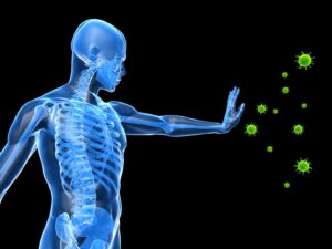 o IMMUNE SYSTEM facebook