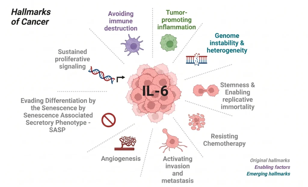 Hallmarks of Cancer