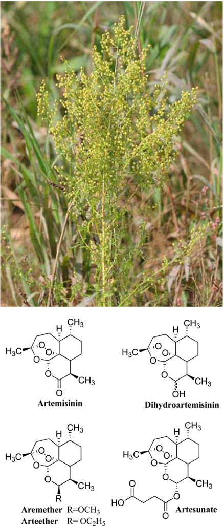 artemisinins 2
