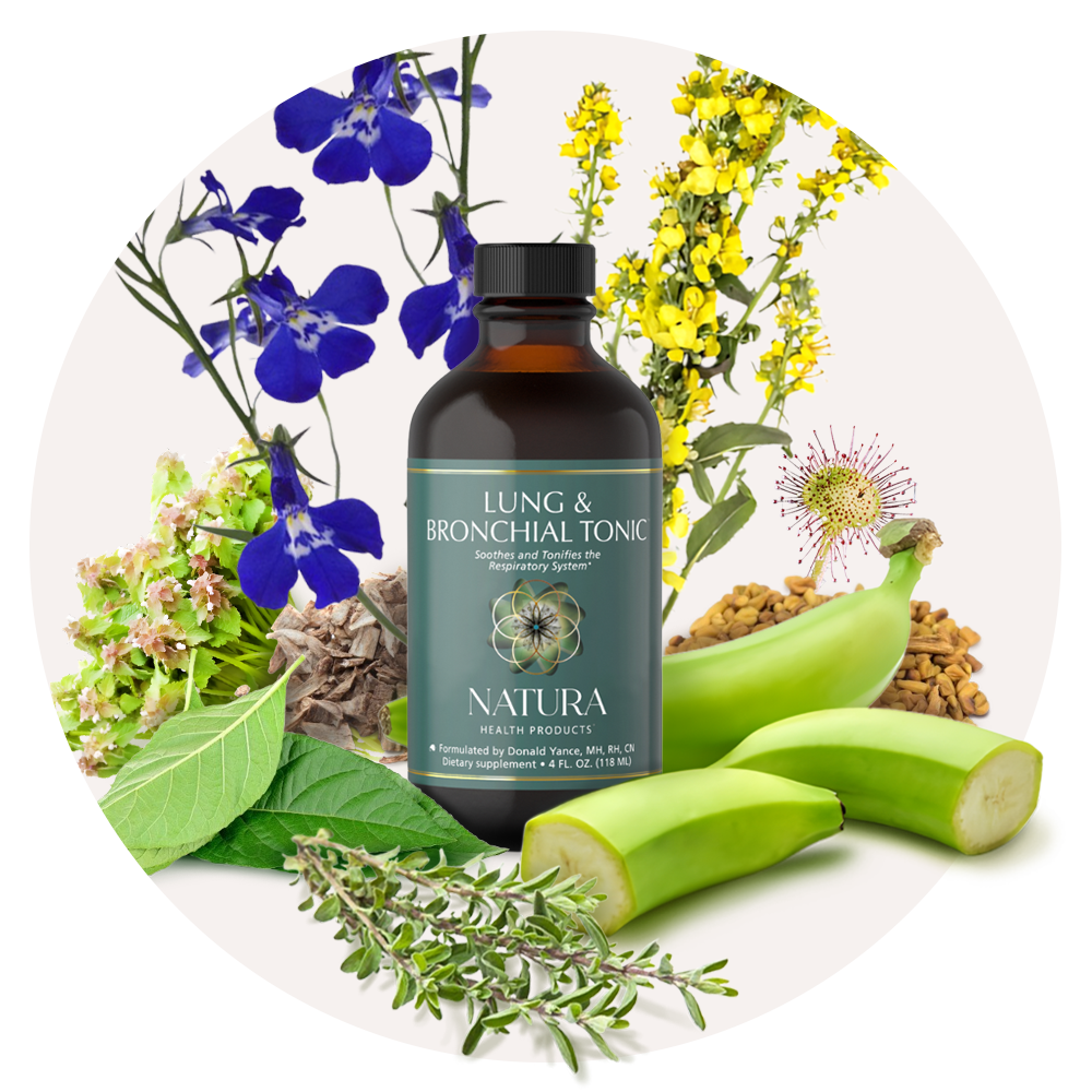 Key ingredients in Lung & Bronchial Tonic: elecampane, sundew, lobelia, plantain, mullein, horehound, fenugreek and thyme