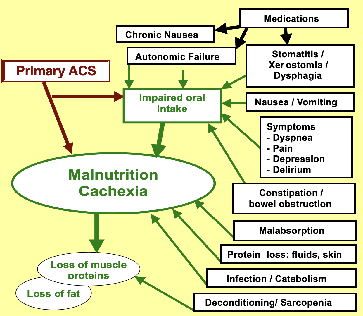 Immunonutrition and muscle protein synthesis